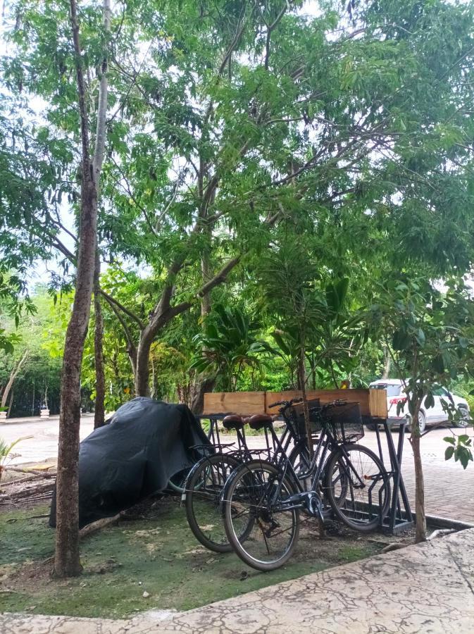 Cozy Condo 1Br Wifi & Gym Tulum Gaia Ngoại thất bức ảnh